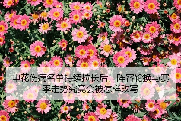 shen-hua-shang-bing-ming-dan-chi-xu-la-chang-hou-zhen-rong-lun-huan-yu-sai-ji-zou-shi-jiu-jing-hui-bei-zen-yang-gai-xie-2-377.jpg
