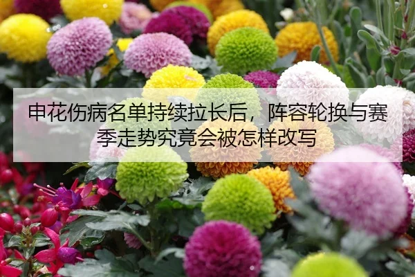 申花伤病名单持续拉长后，阵容轮换与赛季走势究竟会被怎样改写